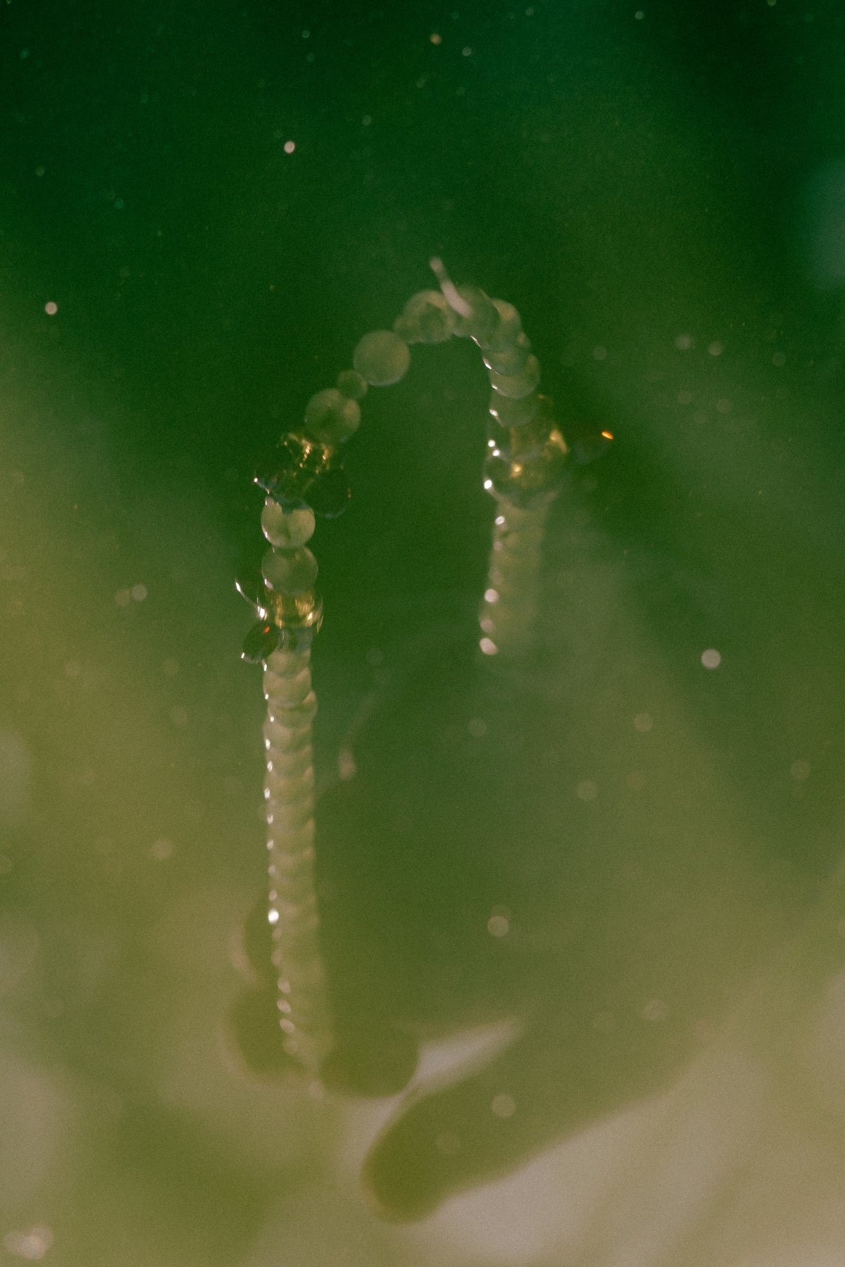 Honey Hive Necklace
